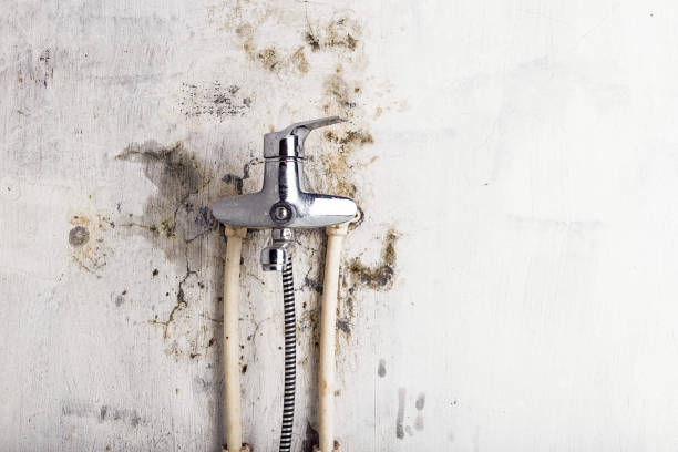Best Mold Testing  in Northlake, TX