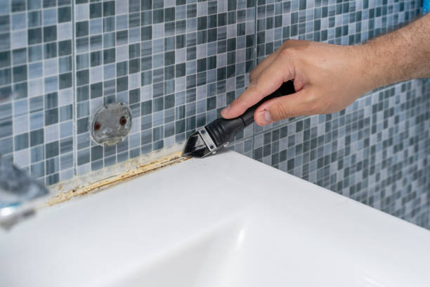 Best Mold Inspection  in Northlake, TX
