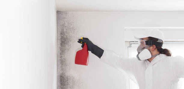 Best Residential Mold Removal  in Northlake, TX