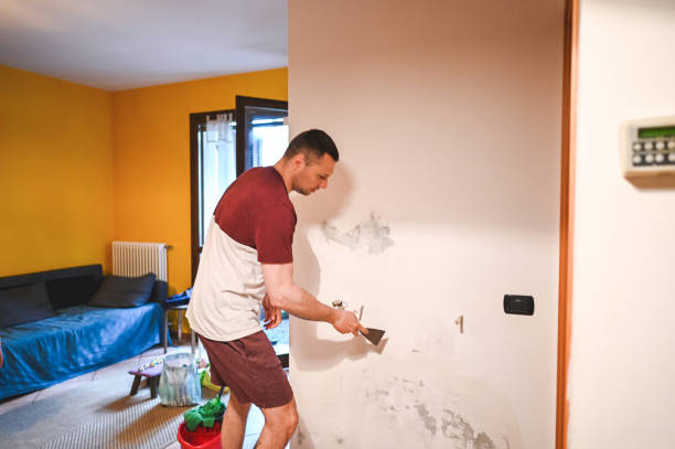 Best Emergency Mold Removal  in Northlake, TX
